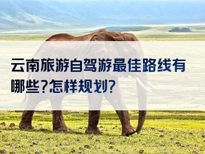 云南旅游自驾游最佳路线有哪些？怎样规划？
