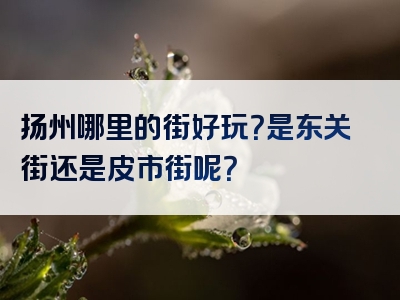 扬州哪里的街好玩？是东关街还是皮市街呢？