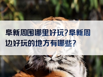 阜新周围哪里好玩？阜新周边好玩的地方有哪些？