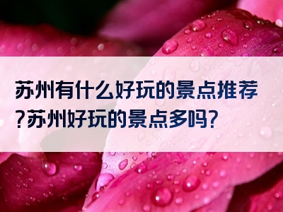 苏州有什么好玩的景点推荐？苏州好玩的景点多吗？