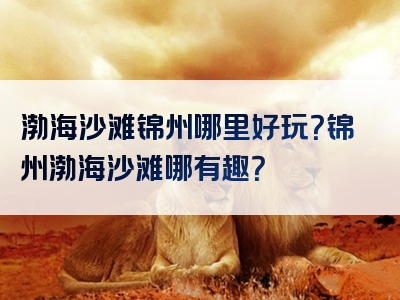 渤海沙滩锦州哪里好玩？锦州渤海沙滩哪有趣？