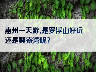 惠州一天游，是罗浮山好玩还是巽寮湾呢？