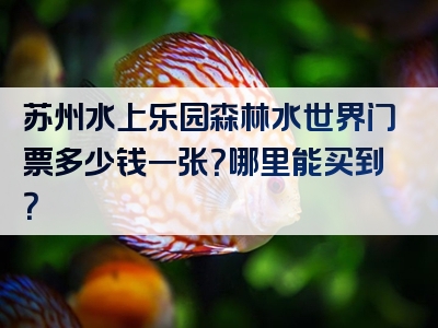 苏州水上乐园森林水世界门票多少钱一张？哪里能买到？
