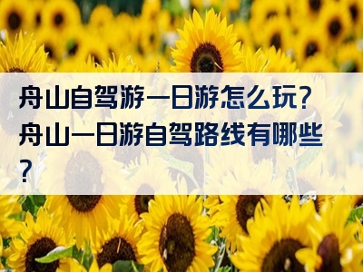 舟山自驾游一日游怎么玩？舟山一日游自驾路线有哪些？