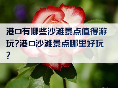 港口有哪些沙滩景点值得游玩？港口沙滩景点哪里好玩？