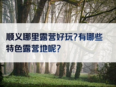 顺义哪里露营好玩？有哪些特色露营地呢？