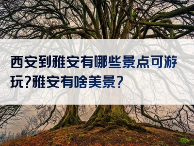 西安到雅安有哪些景点可游玩？雅安有啥美景？