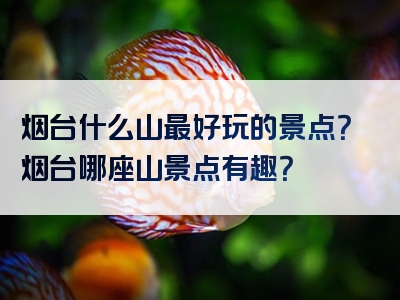 烟台什么山最好玩的景点？烟台哪座山景点有趣？