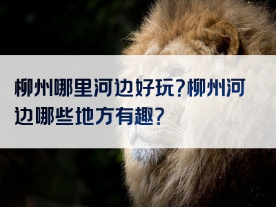 柳州哪里河边好玩？柳州河边哪些地方有趣？