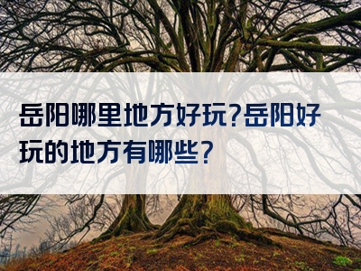 岳阳哪里地方好玩？岳阳好玩的地方有哪些？
