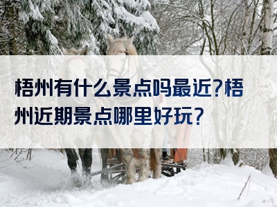 梧州有什么景点吗最近？梧州近期景点哪里好玩？