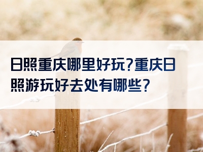 日照重庆哪里好玩？重庆日照游玩好去处有哪些？
