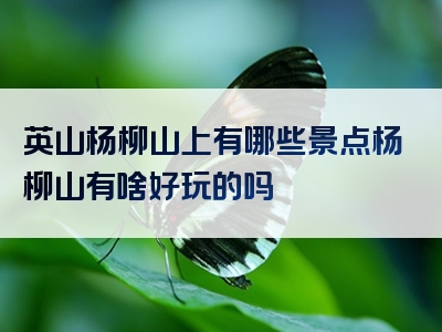 英山杨柳山上有哪些景点杨柳山有啥好玩的吗