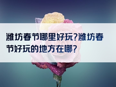 潍坊春节哪里好玩？潍坊春节好玩的地方在哪？