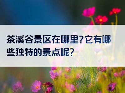 茶溪谷景区在哪里？它有哪些独特的景点呢？