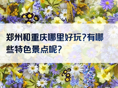 郑州和重庆哪里好玩？有哪些特色景点呢？