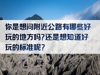 你是想问附近公路有哪些好玩的地方吗？还是想知道好玩的标准呢？