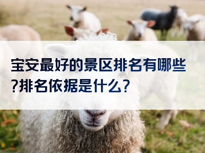 宝安最好的景区排名有哪些？排名依据是什么？