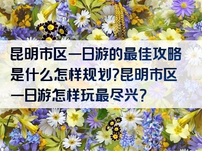 昆明市区一日游的最佳攻略是什么怎样规划？昆明市区一日游怎样玩最尽兴？