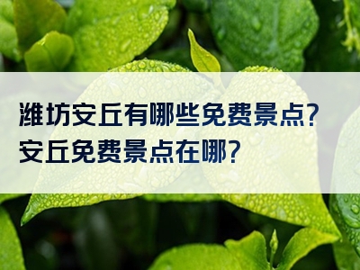 潍坊安丘有哪些免费景点？安丘免费景点在哪？