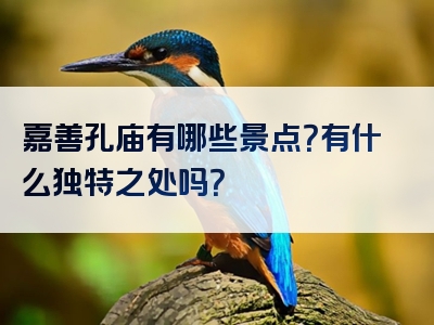 嘉善孔庙有哪些景点？有什么独特之处吗？