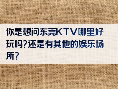 你是想问东莞KTV哪里好玩吗？还是有其他的娱乐场所？