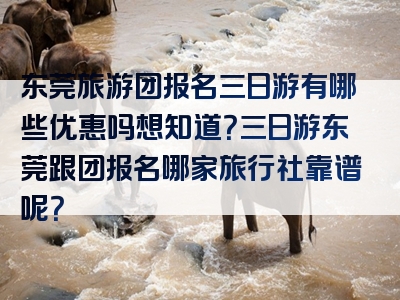 东莞旅游团报名三日游有哪些优惠吗想知道？三日游东莞跟团报名哪家旅行社靠谱呢？