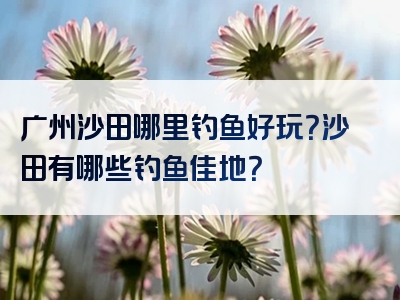 广州沙田哪里钓鱼好玩？沙田有哪些钓鱼佳地？