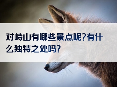 对峙山有哪些景点呢？有什么独特之处吗？