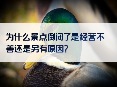 为什么景点倒闭了是经营不善还是另有原因？