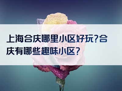 上海合庆哪里小区好玩？合庆有哪些趣味小区？