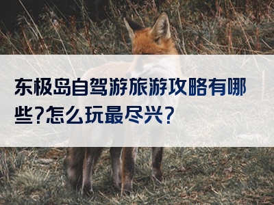 东极岛自驾游旅游攻略有哪些？怎么玩最尽兴？