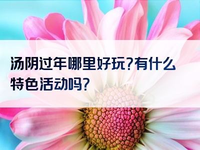 汤阴过年哪里好玩？有什么特色活动吗？
