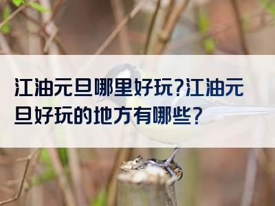 江油元旦哪里好玩？江油元旦好玩的地方有哪些？