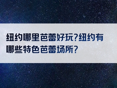 纽约哪里芭蕾好玩？纽约有哪些特色芭蕾场所？