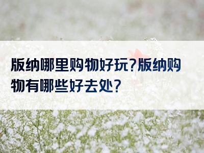 版纳哪里购物好玩？版纳购物有哪些好去处？