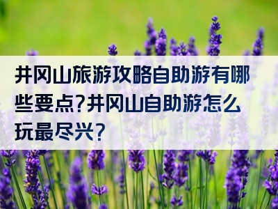 井冈山旅游攻略自助游有哪些要点？井冈山自助游怎么玩最尽兴？