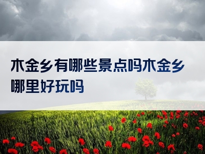 木金乡有哪些景点吗木金乡哪里好玩吗