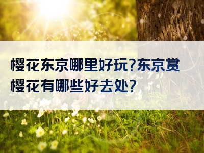 樱花东京哪里好玩？东京赏樱花有哪些好去处？