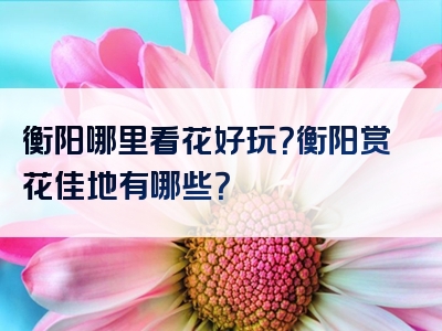 衡阳哪里看花好玩？衡阳赏花佳地有哪些？