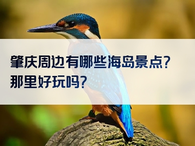 肇庆周边有哪些海岛景点？那里好玩吗？