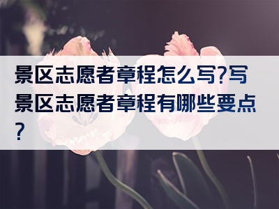 景区志愿者章程怎么写？写景区志愿者章程有哪些要点？