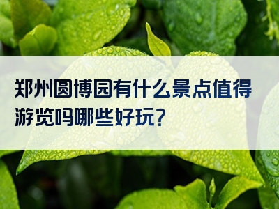 郑州圆博园有什么景点值得游览吗哪些好玩？