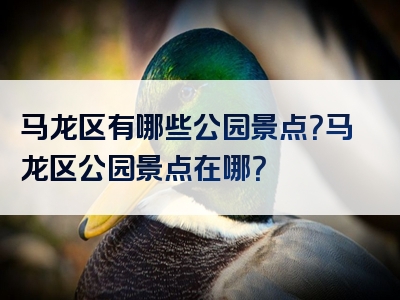 马龙区有哪些公园景点？马龙区公园景点在哪？
