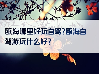 瓯海哪里好玩自驾？瓯海自驾游玩什么好？