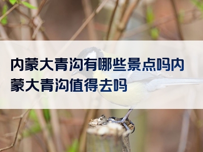 内蒙大青沟有哪些景点吗内蒙大青沟值得去吗