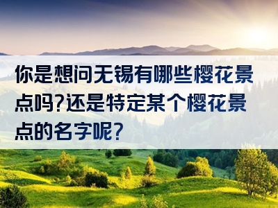 你是想问无锡有哪些樱花景点吗？还是特定某个樱花景点的名字呢？