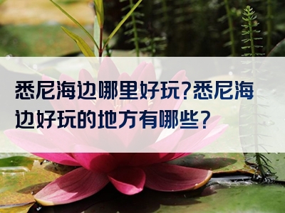 悉尼海边哪里好玩？悉尼海边好玩的地方有哪些？