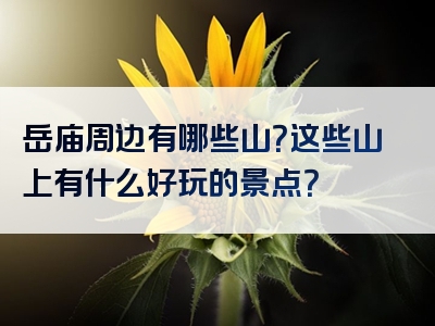 岳庙周边有哪些山？这些山上有什么好玩的景点？
