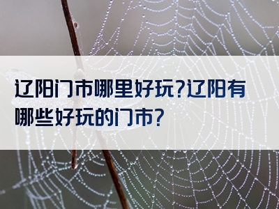 辽阳门市哪里好玩？辽阳有哪些好玩的门市？